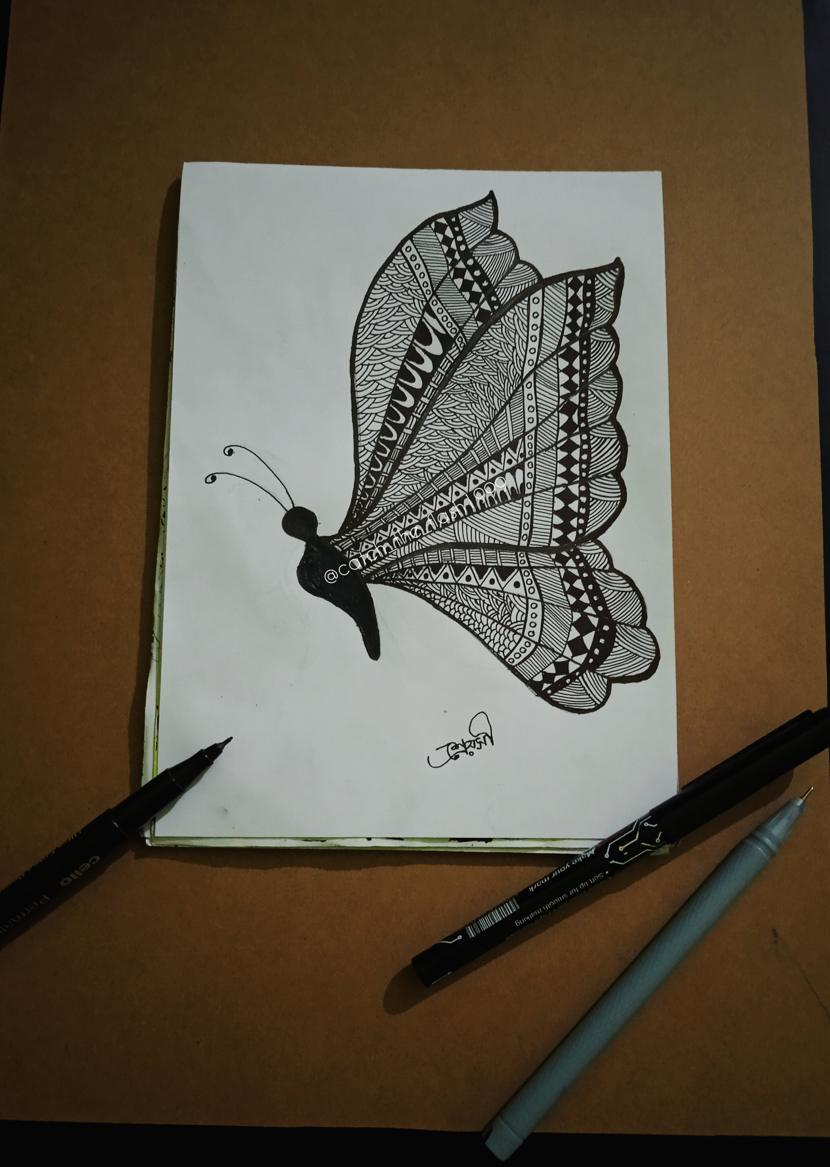 Butterfly