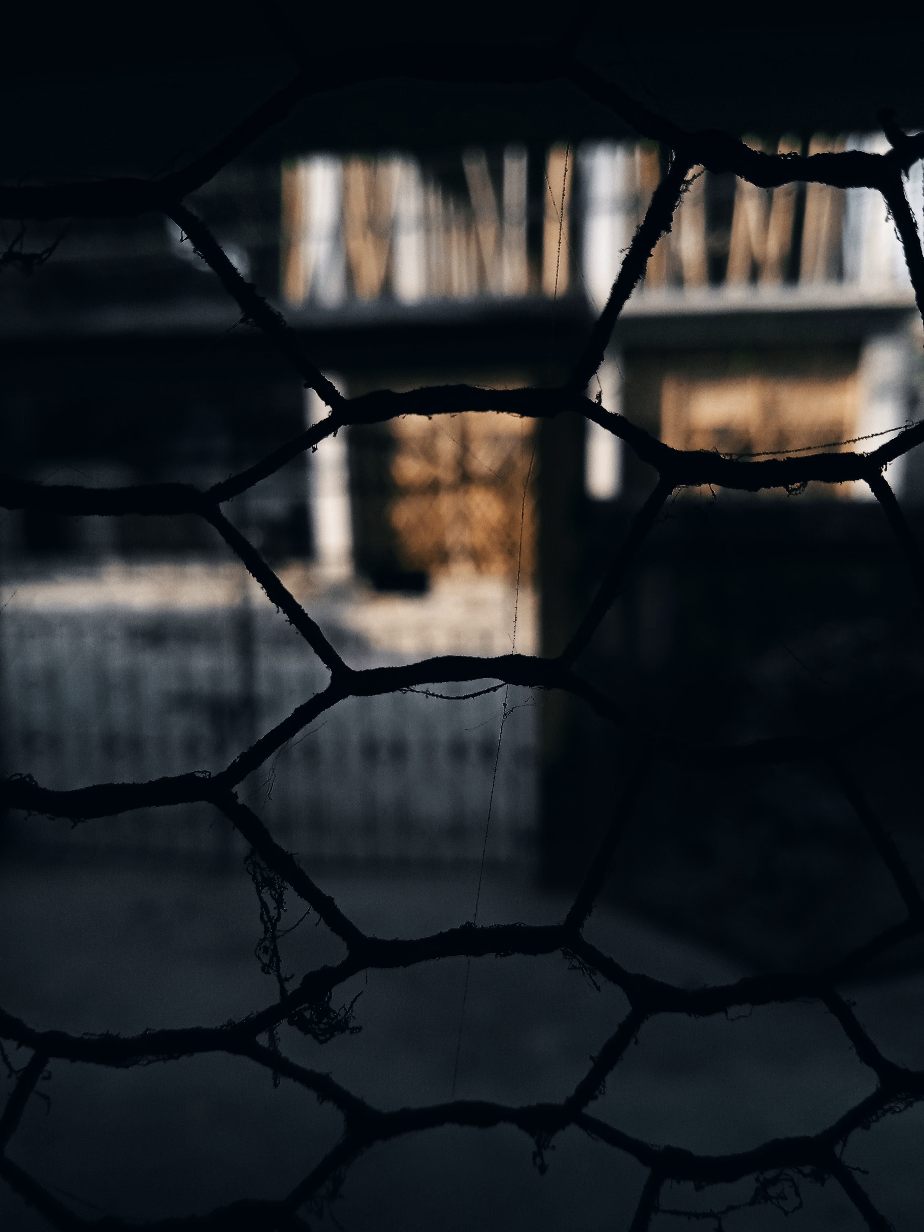 Featured Artwork